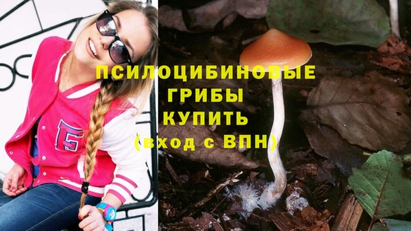 герыч Абаза