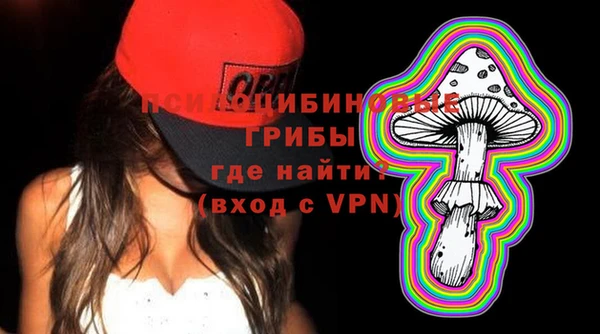 соль ск Абинск