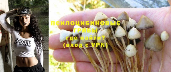 соль ск Абинск